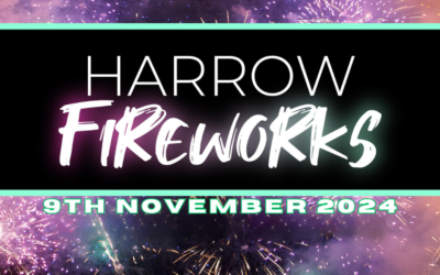 “Fireworks 2024: The Ultimate Explosive Night – Bigger, Brighter, and Louder!”